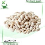 لوبیا کشاورزی سینا