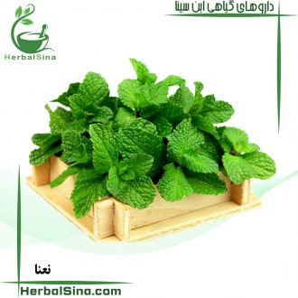 نعنا سینا