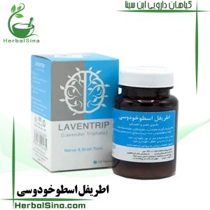 اطریفل اسطوخودوسی