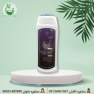 شامپو گل بنفشه و ختمی دکتر خیراندیش (حالت دهنده و نرم کننده)
